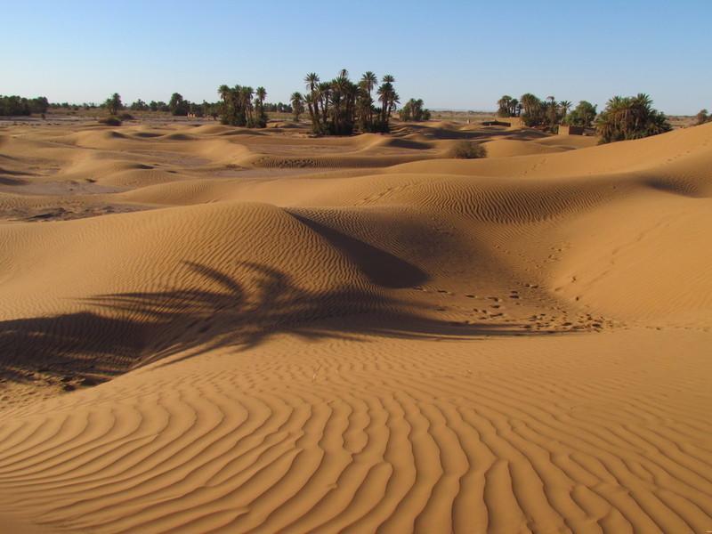 Oulad Driss Riad La Maison Du Desert מראה חיצוני תמונה